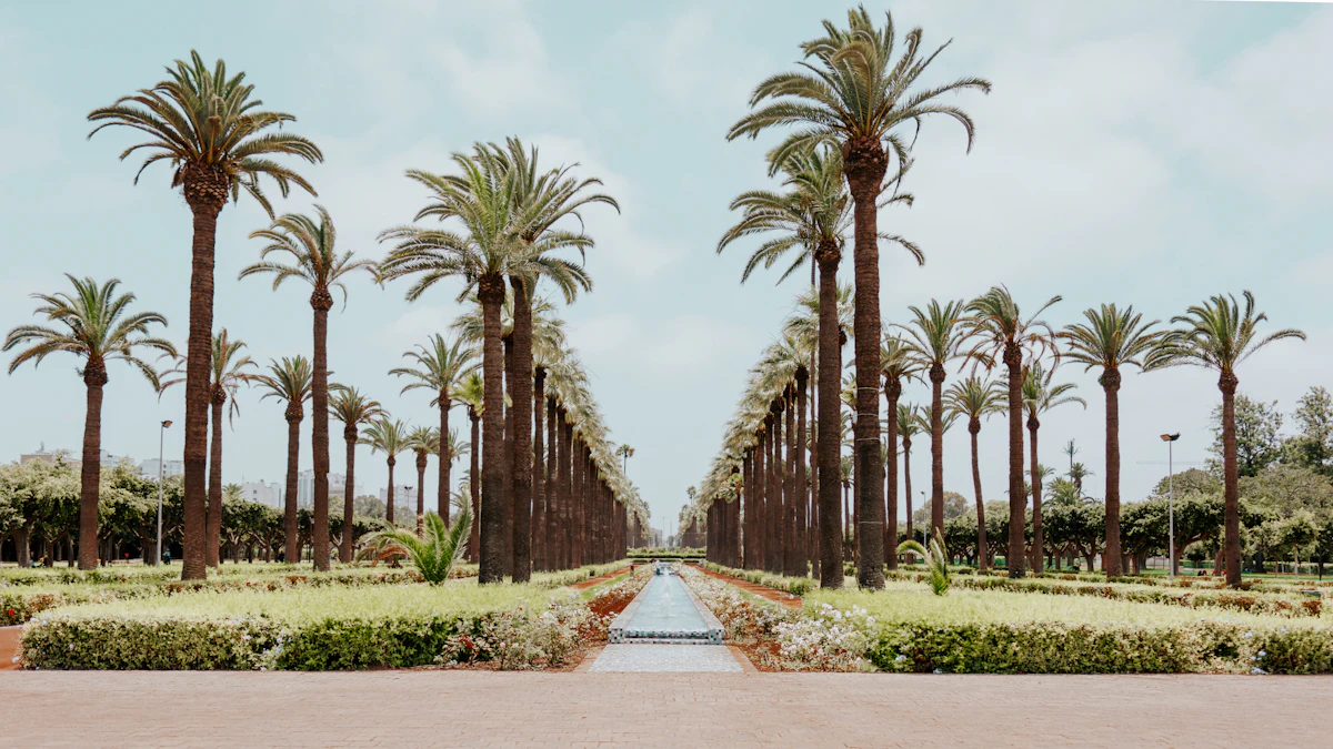 Transport privé à Casablanca pour couples, familles et groupes Transport privé à Casablanca pour couples, familles et groupes
